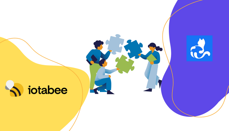 uniting-forces:-iotabee,-tanglepay,-and-groupfi’s-collective-announcement-to-the-iota-community