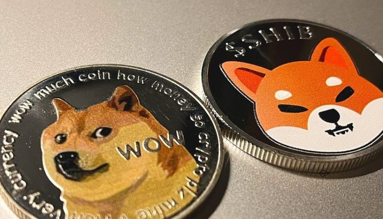 doge,-shib-spike-after-elon-musk-tweet’s-about-mascot-dog’s-passing