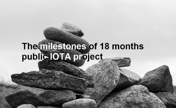 The milestones of 18 months public IOTA project