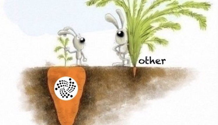 IOTA Carrot